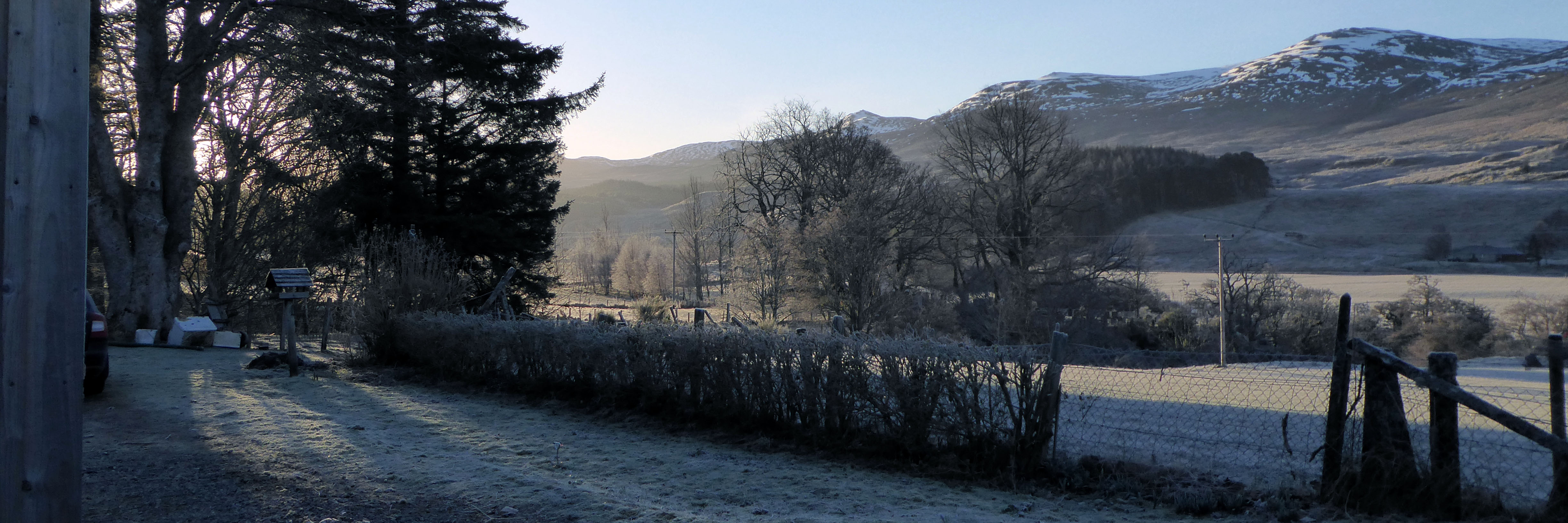 A frosty morning